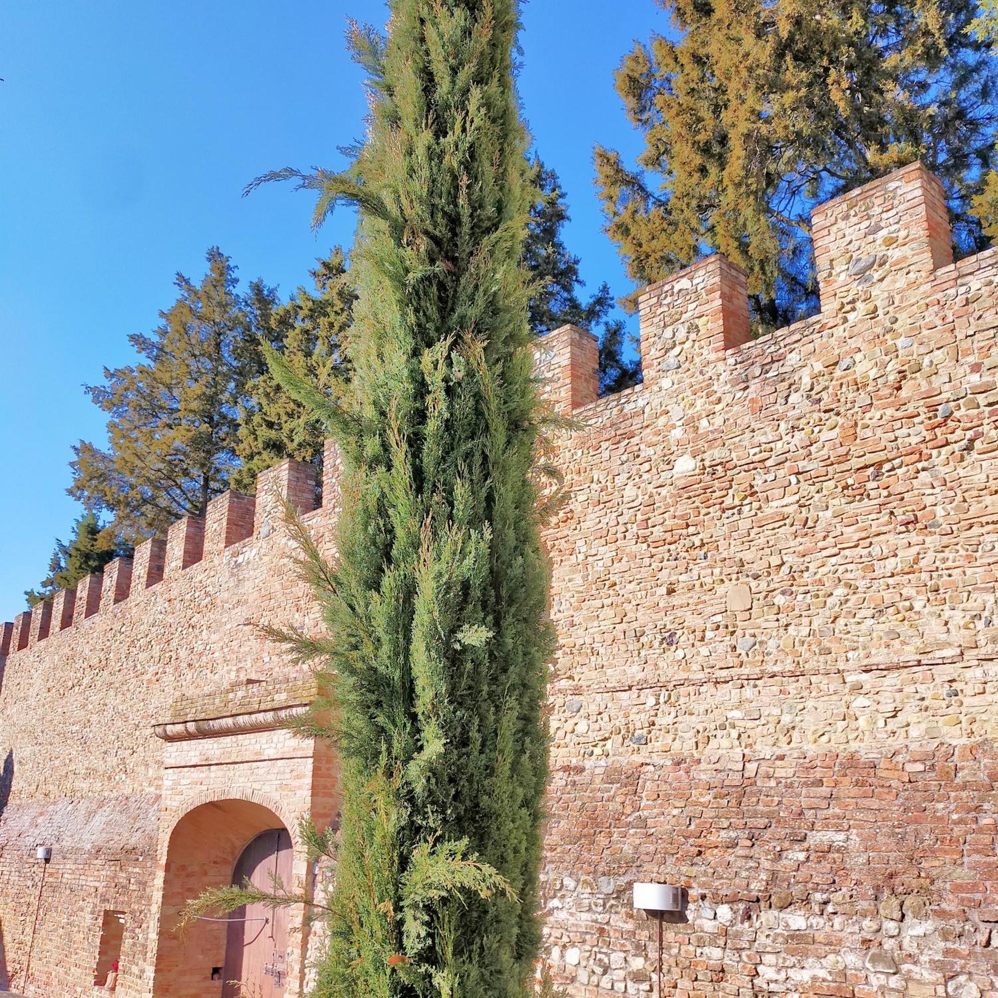 Palazzo Stiozzi Ridolfi Lejlighed Certaldo Eksteriør billede